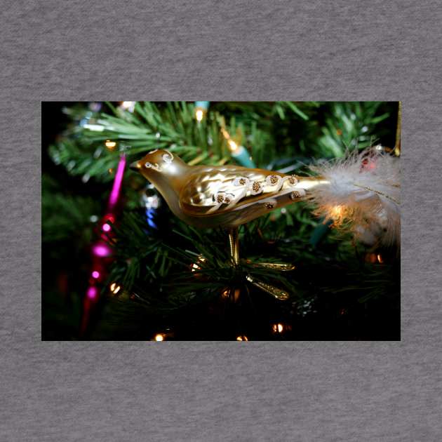 Christmas Ornament 1 by Rob Johnson Photography